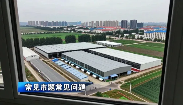 包装配送中的常见问题及处理策略